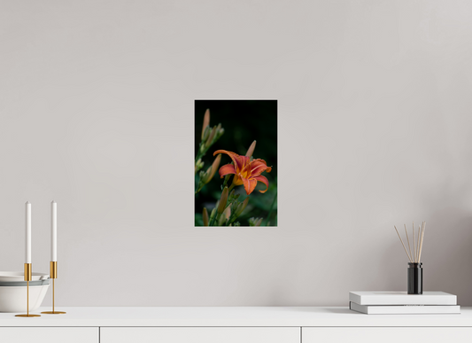 Botanical: Tiger lily
