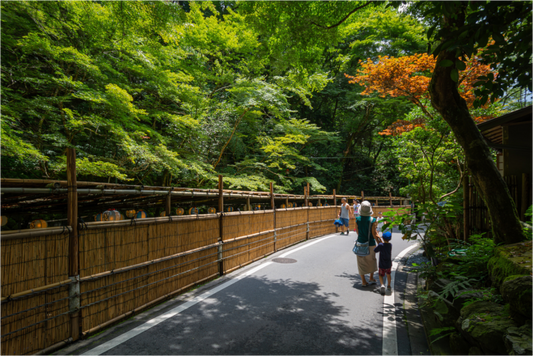 Harmony: Summer in Kibune